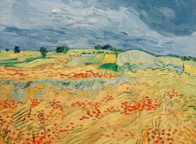 Fields with Blooming Poppies by Vincent van Gogh